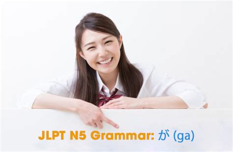 JLPT N5 Grammar が ga