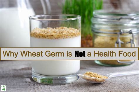 3 Reasons To Say No To Wheat Germ Food Health Food Wheat Germ