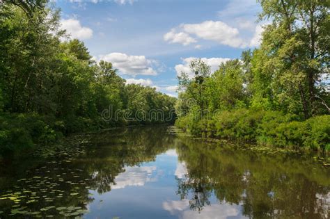 Reflection Of Trees In The Bend Of The River Stock Photo Image Of