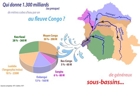 Bassin Fleuve Congo Assomar Org