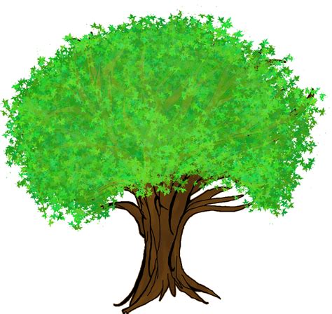 Big Tree Clipart Free Download Transparent Png Creazi