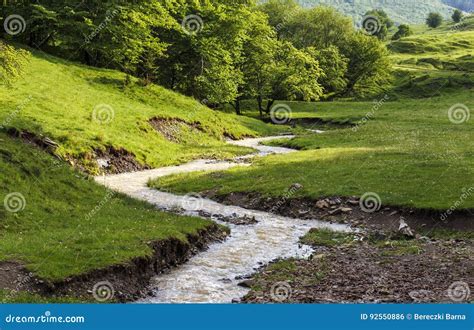 Mountain Stream Flowing Through The Green Forest And Meadow Stock