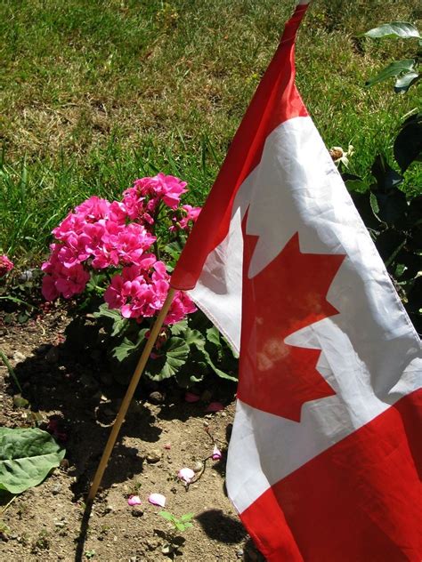 Canada Day Preparations Maple Leaf Flag All Set For Canad Flickr