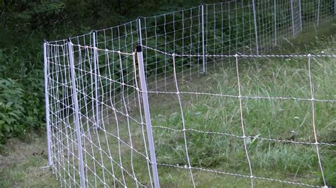 We have created a series of electric fence kits for goats depending on the distance to be protected. Electric Movable Fencing for Sheep, Goats and Cows - YouTube