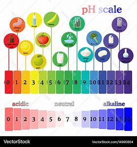 Ph Scale Litmus Paper Color Chart Royalty Free Vector Image