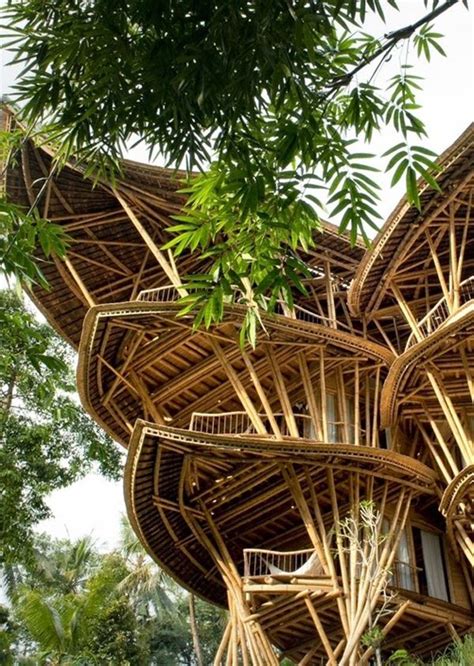 Sustainable Bamboo Tree House In Bali Homemydesign Tree House