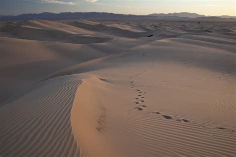 Free Images Landscape Nature Wilderness Desert Dune Dry Scenic Usa America California