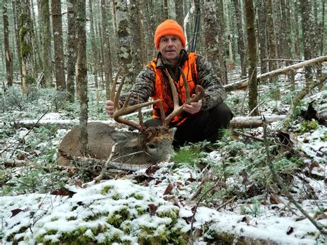 Brown Is Down 2019 Success Page 5 Deer Hunting Nova Scotia Hunting