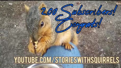 Shout Out A Custom Message With A Squirrel By Onewhoconquers Fiverr