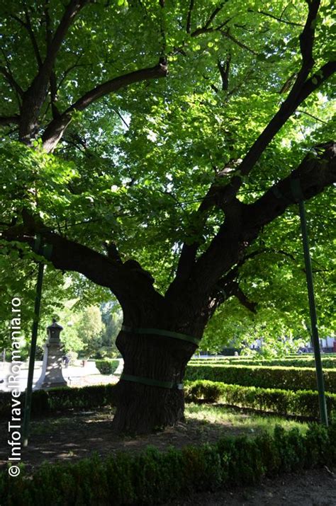 Acest articol se referă la poet. Orasul Iasi| Cazare Iasi| Obiective turistice Iasi| Despre ...