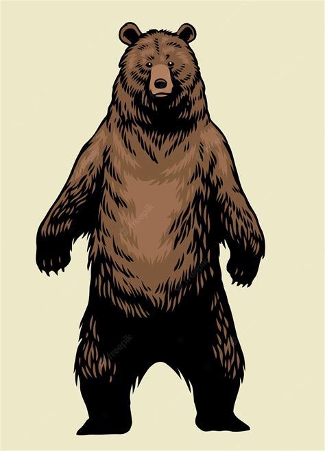 Standing Grizzly Bear Drawings Realistic