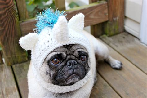 Magical Unicorn Dog Hat Made To Order