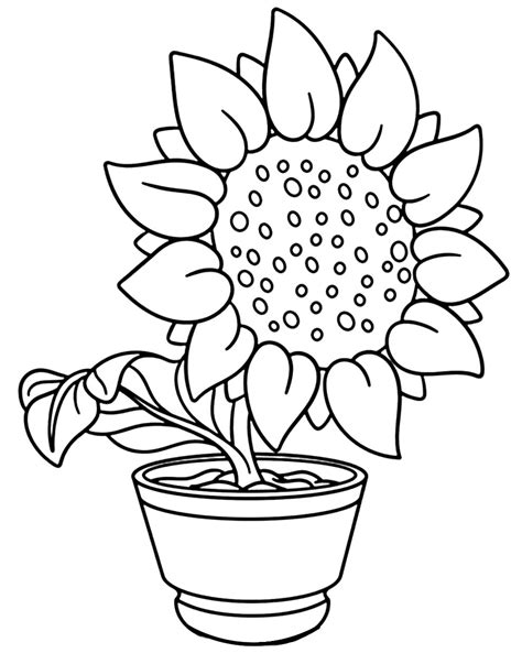 Girassol Desenho Para Imprimir