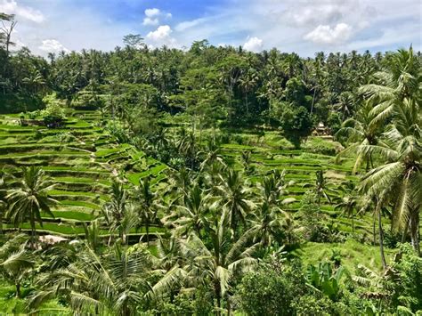 45 Bali Hidden Gems To Add To Your Itinerary Right Away