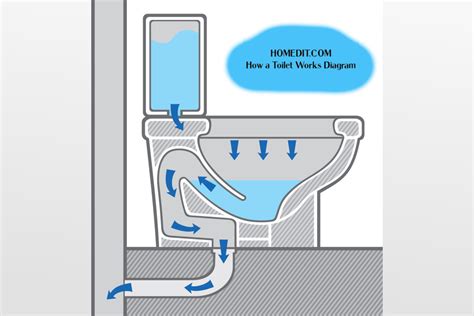 Guide To Parts Of A Toilet With Diagrams 2023