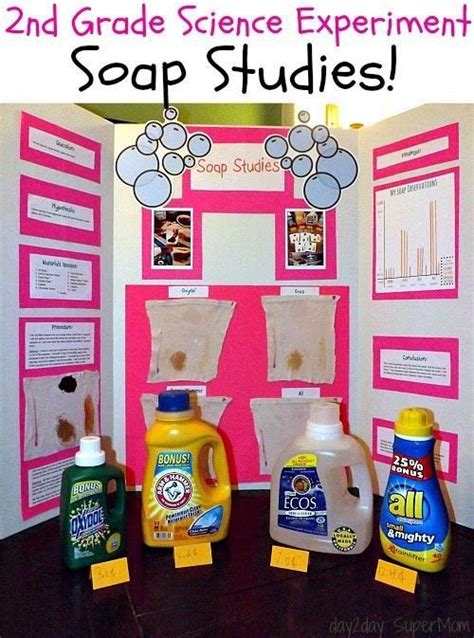 Pin By Rita Ayala On Science Fair Projects Templates Science Fair