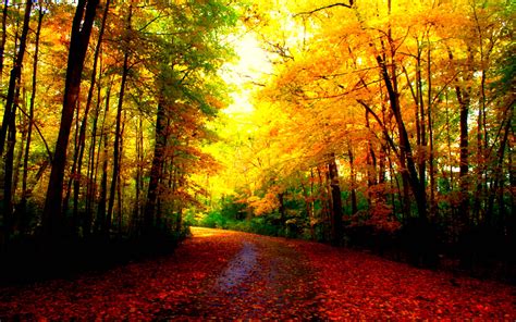 Peaceful Autumn Wallpapers Wallpaper Cave