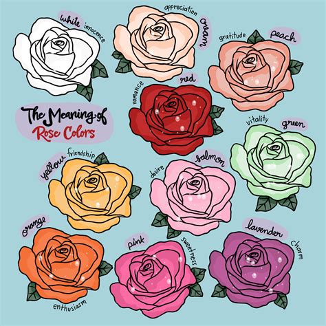 Rose Color Meanings Vlrengbr