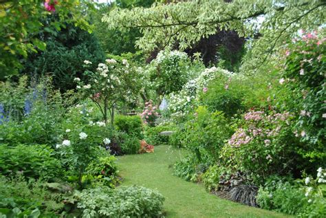 Le Jardin De Roses Dandré Eve Val De Loire