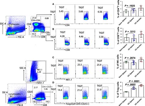 Tigit Enhances Cd Regulatory Tcell Response And Mediates Immune