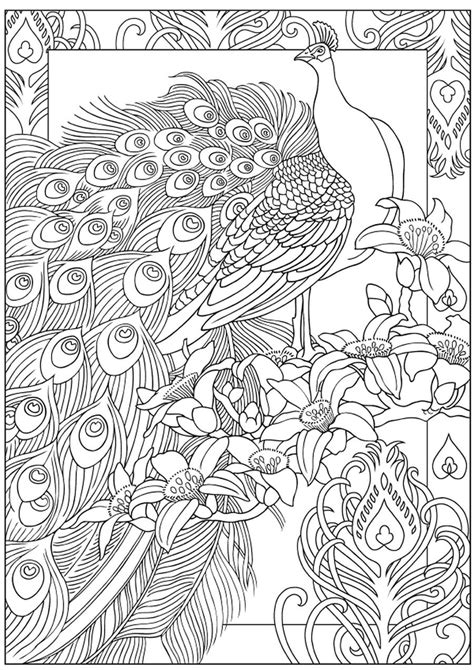 Printable cartoon peacock coloring pages. Pin by Ann Furnas on CBook: Peacock Designs | Peacock ...