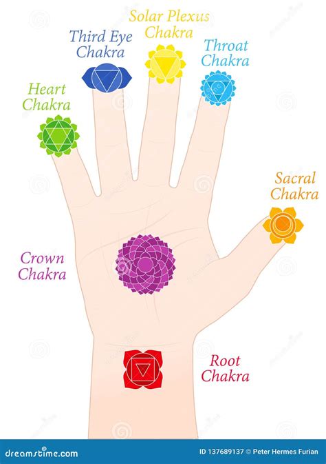 Palm Chakras Fingers Symbols Names Both Hands Cartoon Vector