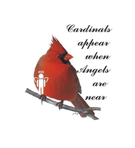 Digital Art Digital Art Cardinals And Angels By Jacquie King