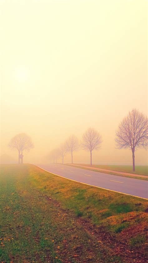 Morning Misty Landscape 4k 5k Wallpapers Hd Wallpapers