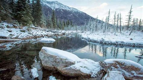 Maybe you would like to learn more about one of these? Eagle River Nature Center Public Use Cabin | Must ...