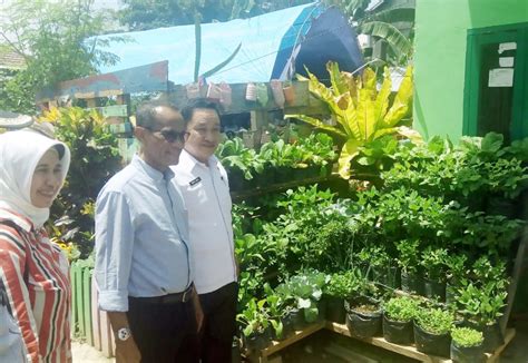 Raya situbondo no.14 prajekan bondowoso 68285 jatim no. KRPL Kementan Mampu Suplai Sayuran ke Hotel dan Rumah ...