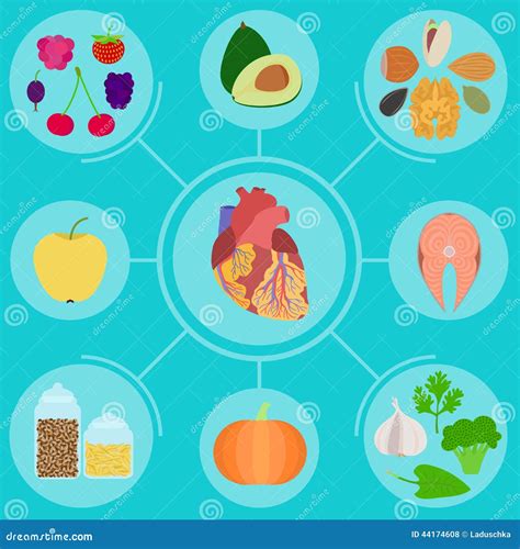 Infographics Di Alimento Per Cuore Sano Illustrazione Vettoriale