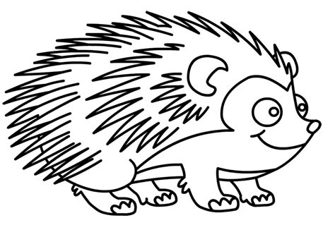Hedgehog Coloring Pages Best Coloring Pages For Kids Coloring Pages