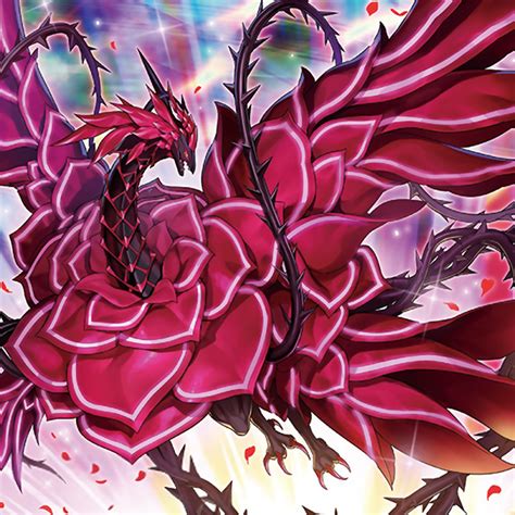 Blood Rose Dragon Yu Gi Oh 5ds Image By Konami 3201690
