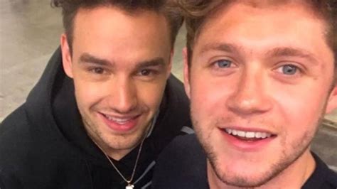 Niall Horan And Liam Payne Have Small One Direction Reunion Youtube