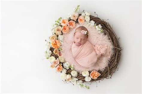 Newborn Digital Backdrops And Backgrounds For Photographers