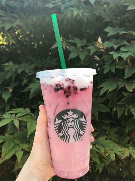 These 10 vegan starbucks drinks and coffees really want to be your best friend. My 10 Favorite Vegan Drinks at Starbucks (With images ...