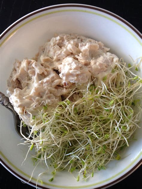 Chicken Salad With Alfalfa Sprouts Alfalfa Sprouts Food Sprouts