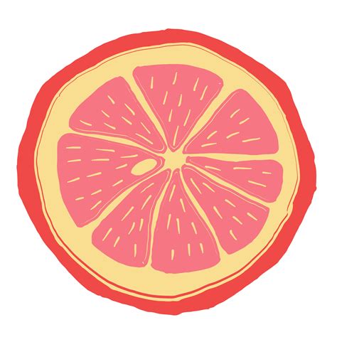 Oranges Slices Piece Of Grapefruit 22826963 Png