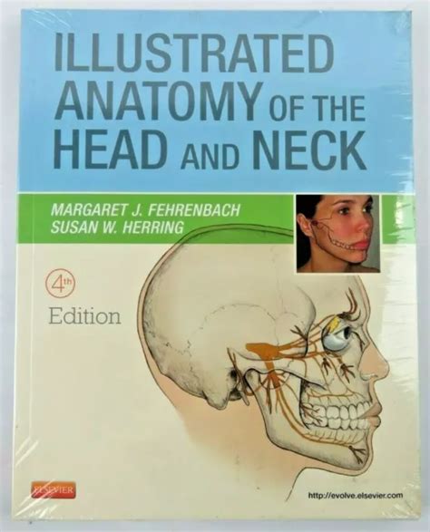 Illustrated Anatomy Of The Head And Neck 4th Edition 824 Picclick