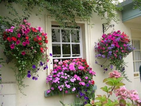 There are cans, plastic containers, plastic pots. Pin by Camille Nelson on For the Love of Gardening ...