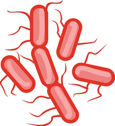 Best Mrsa Illustrations Royalty Free Vector Graphics And Clip Art Istock