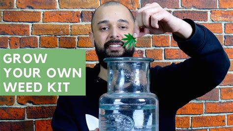 Grow Your Own Weed Kit Stoner T Ideas 2 Youtube