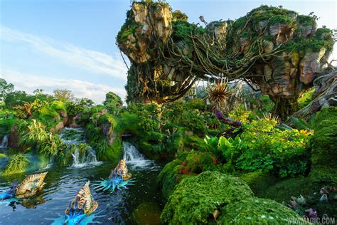The Landscape Of Pandora The World Of Avatar Photo 15