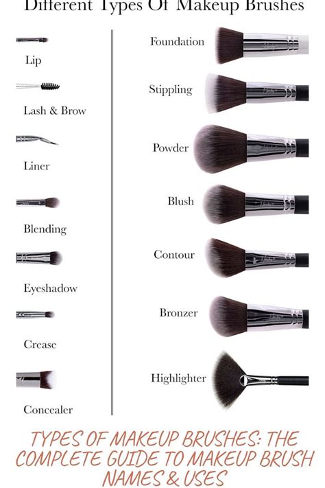 makeup brushes uses and names pictures
