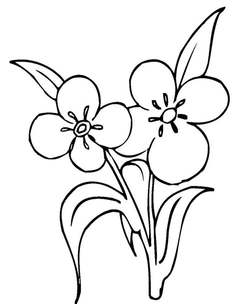 Trova immagini per fiori disegno. Disegni di fiori da colorare (Foto) | NanoPress Donna