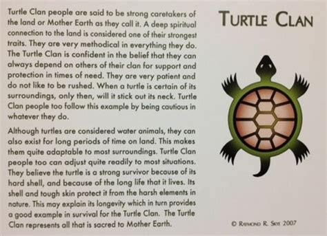 We Are The Turtle Clan Native American Totem Native American