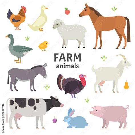 Vector Collection Of Farm Animals And Birds In Trendy Flat Style