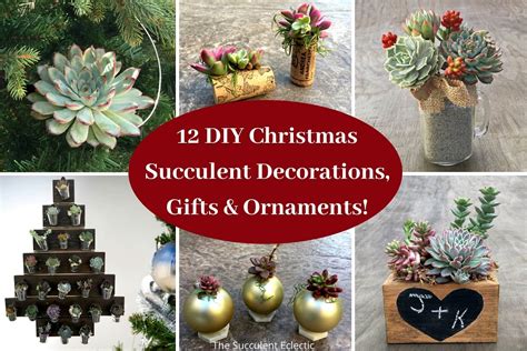 12 Diy Christmas Succulent Decorations Ts And Ornaments The
