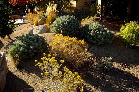 Getting Started With Xeriscaping Xeriscape Sustainable Landscaping