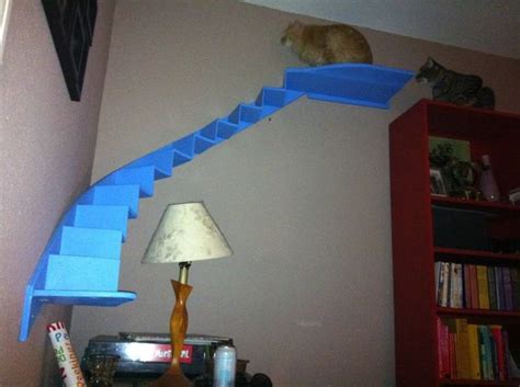 Curved Cat Stairs For Your Living Room Cat Stairs Cat Room Cat Diy